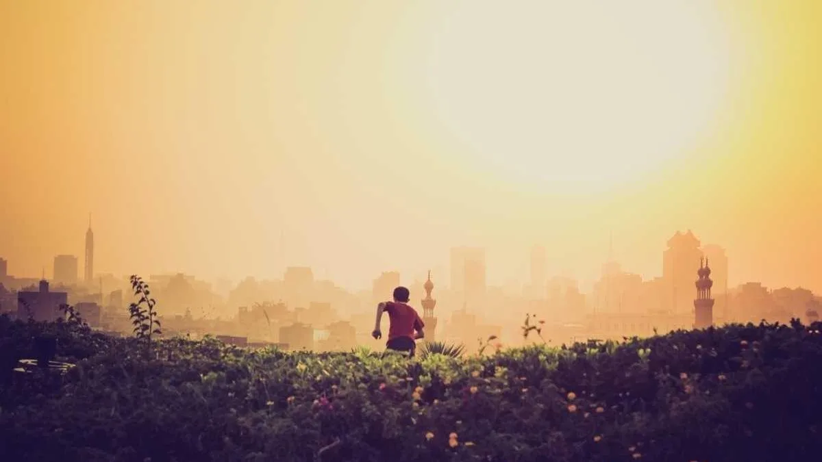 Best IPTV reseller UK: UK Streaming Insights, Setup & Buying Tips (2026) — IPTV streaming guide cover image