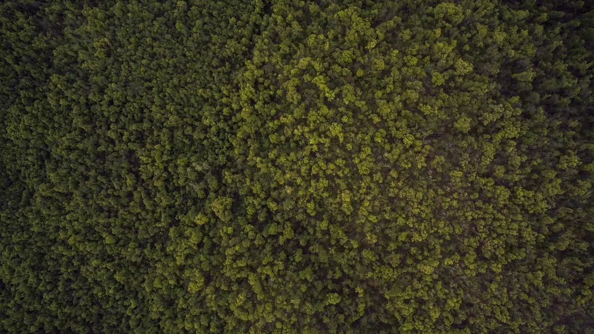 IPTV business profit in UK: UK Streaming Insights, Setup & Buying Tips (2026) — IPTV streaming guide cover image