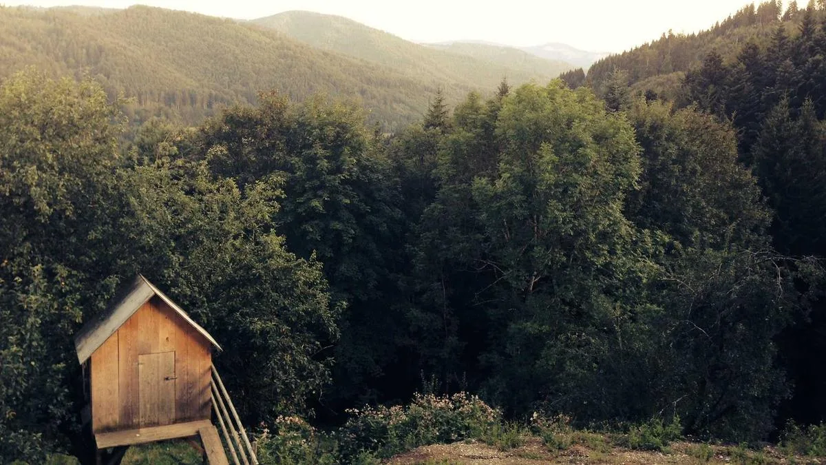 IPTV channels UK list: UK Streaming Insights, Setup & Buying Tips (2026) — IPTV streaming guide cover image