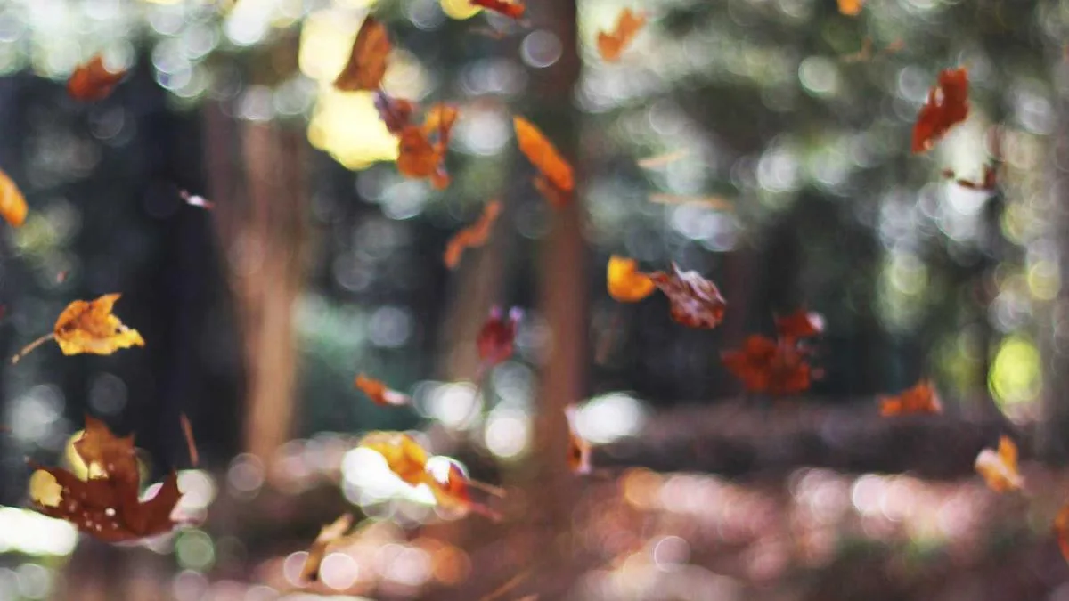 IPTV for Smart TV: UK Streaming Insights, Setup & Buying Tips (2026) — IPTV streaming guide cover image