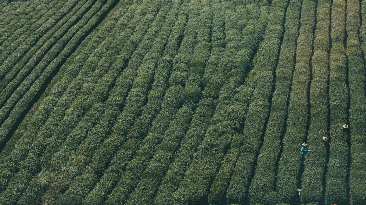 IPTV law UK: UK Streaming Insights, Setup & Buying Tips (2026) — IPTV streaming guide cover image