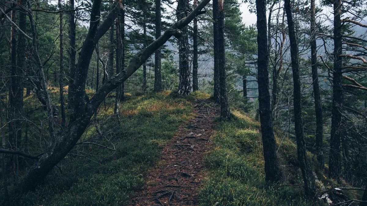 IPTV Manchester UK: Northern England Streaming Tips for Homes and Students — IPTV streaming guide cover image