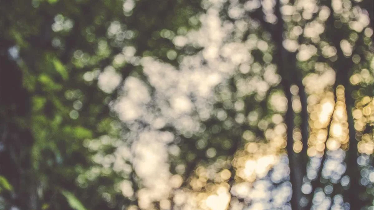 IPTV No Buffering UK: How to Cut Stalls on Fibre, Wi‑Fi and Busy Evenings — IPTV streaming guide cover image