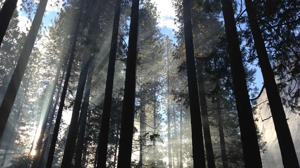 IPTV reseller account for sale: UK Streaming Insights, Setup & Buying Tips (2026) — IPTV streaming guide cover image