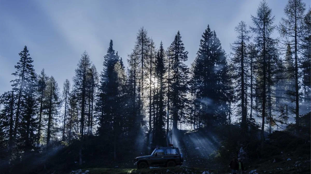 IPTV Reseller Earning Proof: What Can (and Cannot) Be Demonstrated Responsibly — IPTV streaming guide cover image