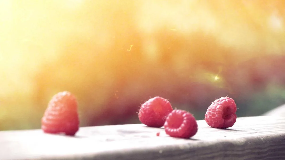 IPTV reseller UK price: UK Streaming Insights, Setup & Buying Tips (2026) — IPTV streaming guide cover image