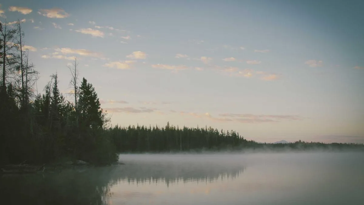 Live sports streaming: UK Streaming Insights, Setup & Buying Tips (2026) — IPTV streaming guide cover image